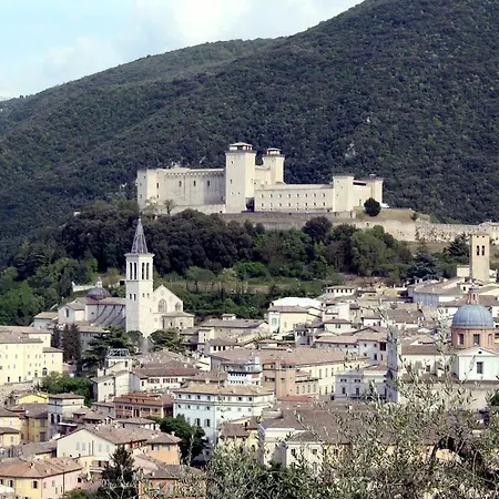 Via F.lli Cairoli 3 *