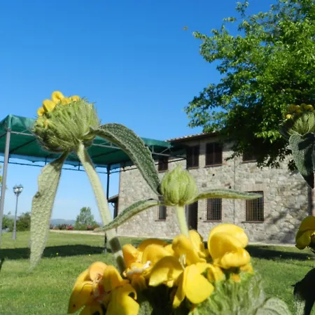Via F.lli Cairoli 3 Apartament