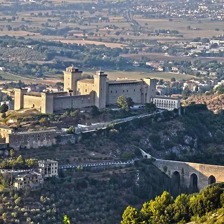 Via F.lli Cairoli 3 *